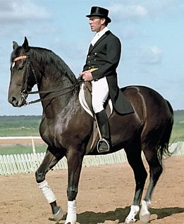 Кизимов Иван